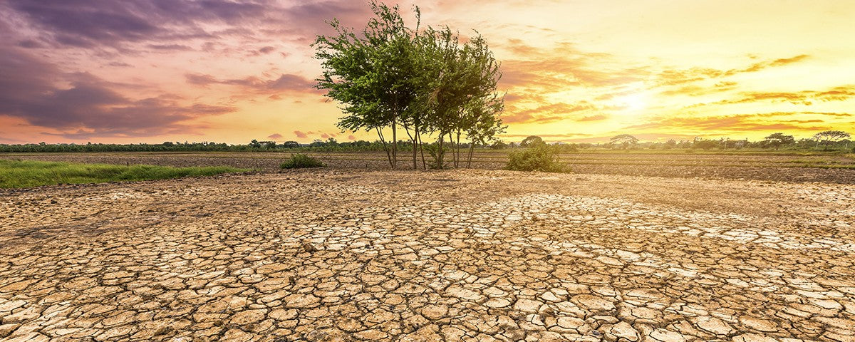 Rechauffement climatique
