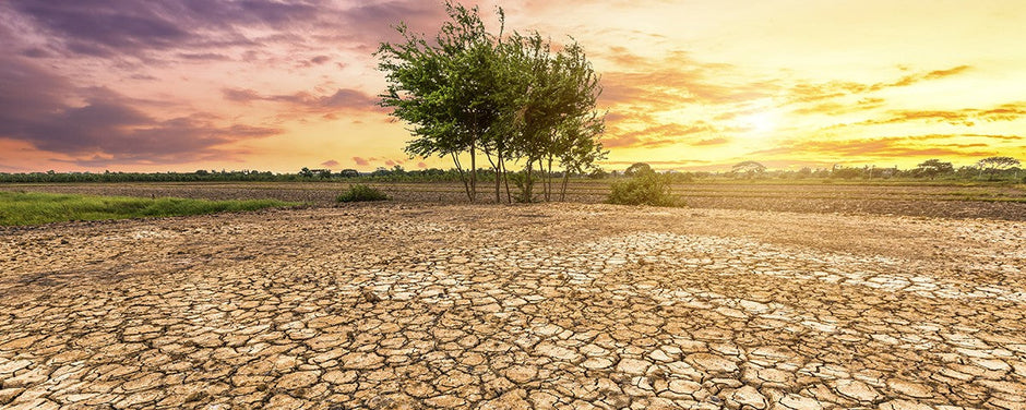 Rechauffement climatique