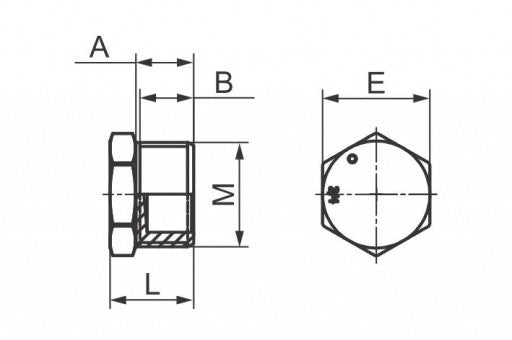 1'' Hex Head Plug in galvanized steel - 1 PIECE