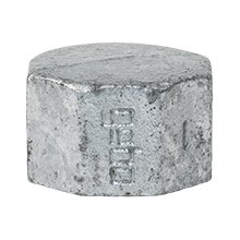 Bouchon femelle hexagonal de 2 pouces en fonte malléable galvanisée