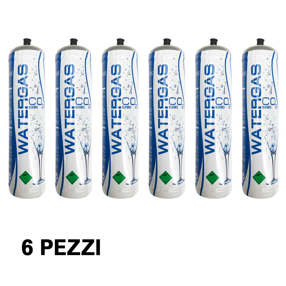 6 CYLINDRES DE CO2 JETABLES E290 DIOXYDE DE CARBONE 600 GR - CARBONATEURS D'EAU, AQUARIUM