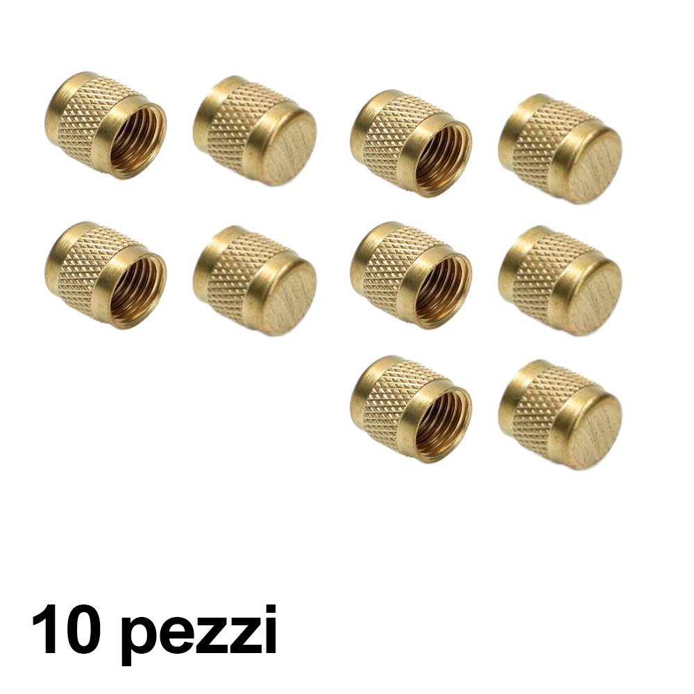 10 pieces - Seal cap with 5/16'' SAE gasket